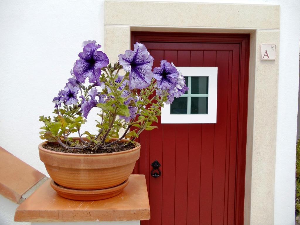Casa Do Largo - Golega - Turismo De Habitacao Hotell Eksteriør bilde